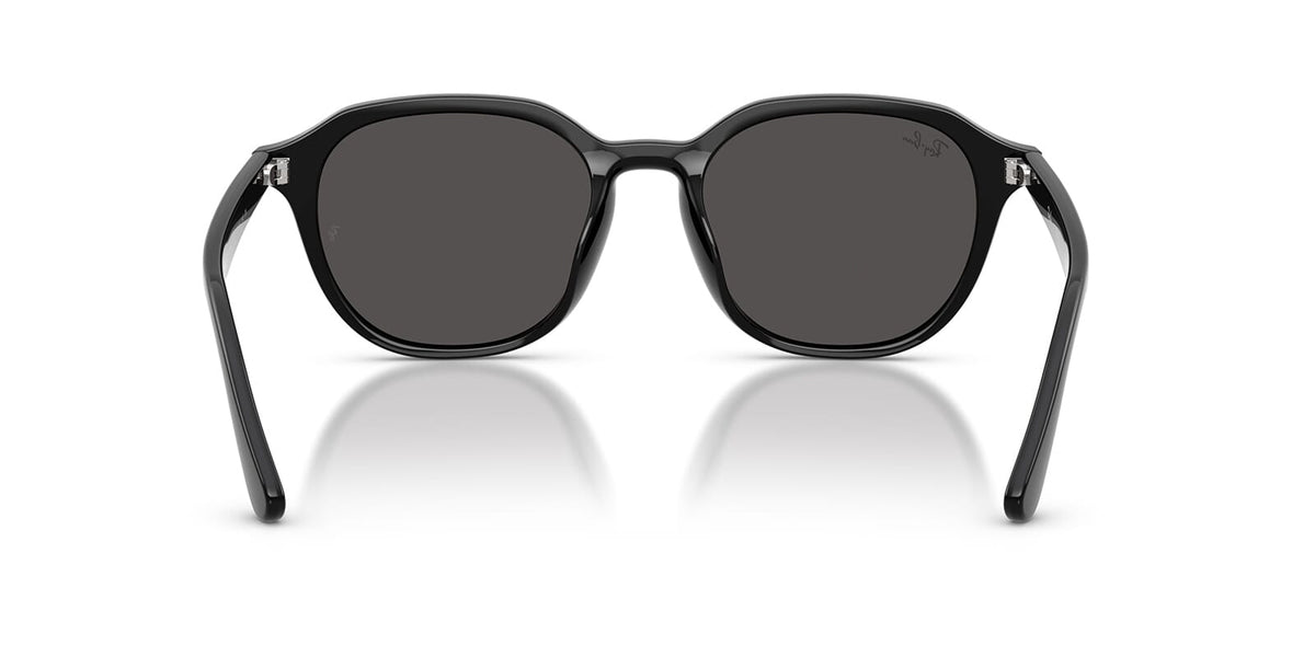 Ray-Ban RB 4459D 901/87